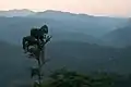 Mountains around Mae Hong Son at twilight