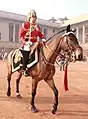 Major Amit Bhardwaj moving towards forecourt of Rashtrapati Bhavan during full dress rehearsal on 23 January 2013