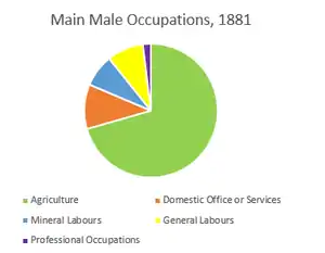 Breakdown of the main occupations males in Little Torrington worked in according to the 1881 census.