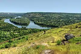 Nistru Valley View