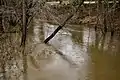 Manalapan Brook flowing towards Lake Manalapan in Monroe Township