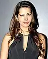 Manasvi Mamgai, Femina Miss India world 2010, Miss Tourism International 2008