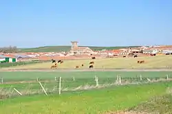 Panorama of Mancera de Abajo