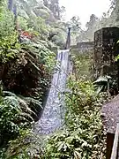 Mangarata Dam spillway. Parataniwha is common in the valleys.