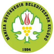 Manisa Büyükşehir Basket Kulübü logo