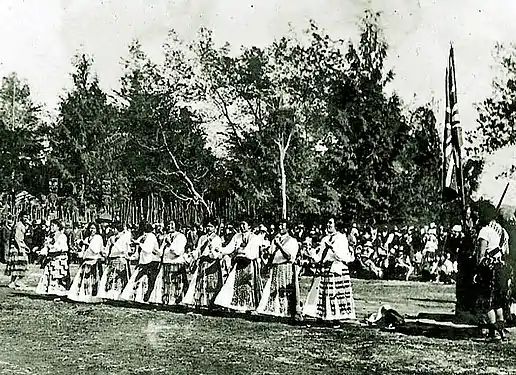 outdoor photo of traditional women's dance.