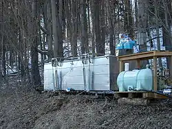 Gathering sap from maple trees in Clymer Township