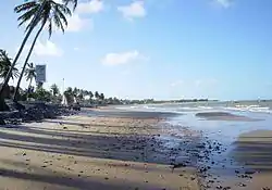 Maracajaú beach.