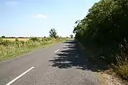 General view of Mareham Lane on a sunny day, with a dense hedgerow on the right.