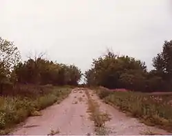 Maritana Avenue, one of only two paved roads in Elcor, looking south toward Manilla Street, 1980