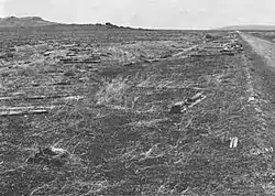 Looking east at the Matlin siding with the wye in the foreground, unknown date