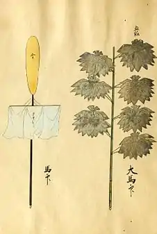 Matsudaira Mitsunaga Large Battle Standards: gold plaited paper on bamboo broom design (right), gold club over light blue curtain (left)