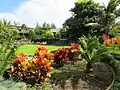 Landscape garden around lawn