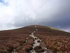 Final path to Maulin from Crone Woods