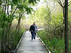 Wetlands boardwalk