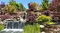 A small waterfall within the flowery vista