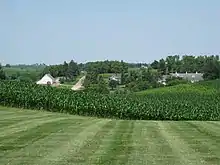 Image 41Central Iowa cornfield and dairy in June (from Iowa)