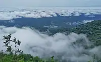 Spectacular from 'Gorilla rock' one of the highest points on the hill. Expanse of forest extends from Cross River to Takamanda forest reserve, Cameroon