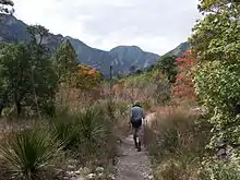 McKittrick Canyon Trail