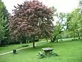 Picnic area in Meanwood Park