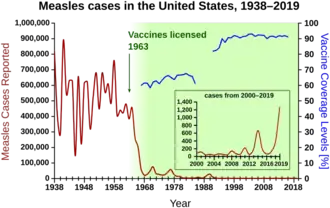 Measles cases 1944-1963 followed a highly variable epidemic pattern, with 150,000-850,000 cases reported per year. A sharp decline followed introduction of the first measles vaccine in 1963, with fewer than 25,000 cases reported in 1968. Outbreaks around 1971 and 1977 gave 75,000 and 57,000 cases, respectively. Cases were stable at a few thousand per year until an outbreak of 28,000 in 1990. Cases declined from a few hundred per year in the early 1990s to a few dozen in the 2000s.