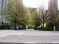 A tree-lined walkway by morning at Mel Lastman Square, looking east toward Yonge Street