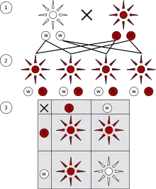 Image 12Mendelian inheritance states characteristics are discrete and are inherited by the parents. This image depicts a monohybrid cross and shows 3 generations: P1 generation (1), F1 generation (2), and F2 generation (3). Each organism inherits two alleles, one from each parent, that make up the genotype. The observed characteristic, the phenotype, is determined by the dominant allele in the genotype. In this monohybrid cross the dominant allele encodes for the colour red and the recessive allele encodes for the colour white. (from History of genetics)