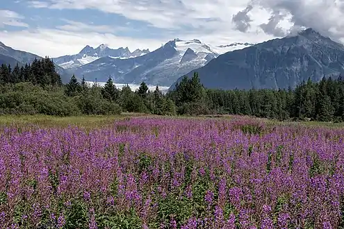 Mt. Wrather (center), Bullard Mountain (right)