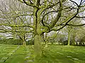 German World War I military cemetery in Menen.