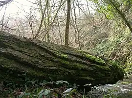 The Culey menhir