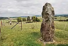 Photo of the standing-stone in a field