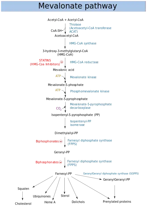 Chemical flow chart