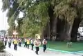 Band passing by the Santa Maria de Tule tree