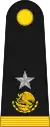 Brigadier General