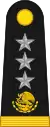 Division General