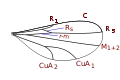 Micromyini and Peromyiini wing veins