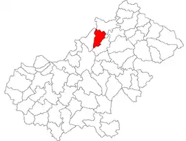 Location in Satu Mare County