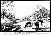 Photograph of cattle and horses stopped by a water soak, edged with eucalypts.