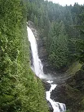 A large waterfall flowing between green forests