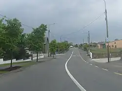 Road through Milltown, County Galway