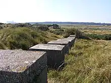 Area of grassy sand dunes with a row of large concrete cubes across it. People at a bridge in the distance.