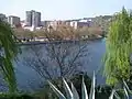 Looking down from the east river bank.