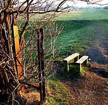 Kilnhurst Ings