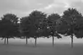 'New Horizon' avenue in mist, Pontcanna Fields, Cardiff (2016)