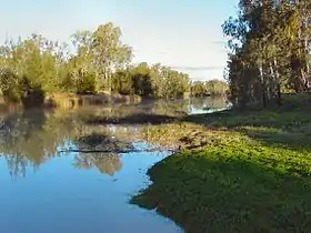 Maranoa River at Mitchell, 2005