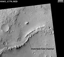 Inverted Channel in Miyamoto Crater, Margaritifer Sinus quadrangle, as seen by HiRISE. Illumination is from the NW. The scale bar is 500 meters long.