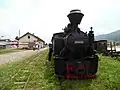 Mocăniță narrow-gauge railway steam train