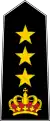 Colonel