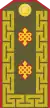 Mongolian Army-Lieutenant general-service 1990-1998