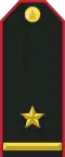 Mongolian Army-MAJ-service